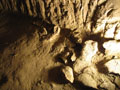 repnice so jame skopane v kremenčevem pesku